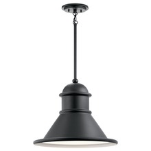  49777BK - Outdoor Pendant 1Lt