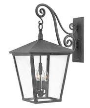 Hinkley Canada 1438DZ-LL - Large Wall Mount Lantern