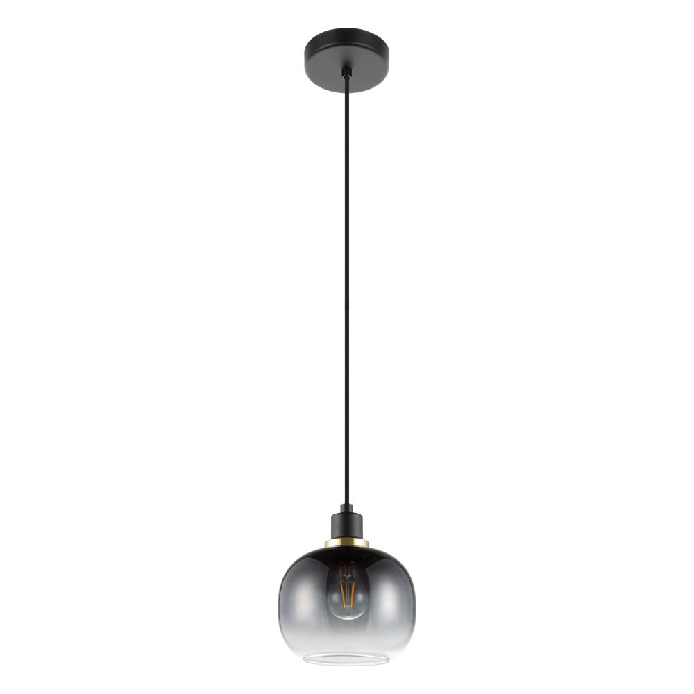Oilella Trend / Tendance